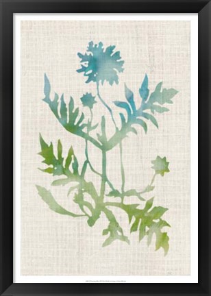 Framed Watercolor Plants III Print