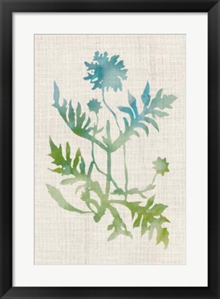 Framed Watercolor Plants III Print