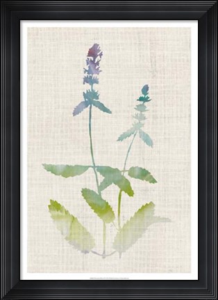 Framed Watercolor Plants IV Print
