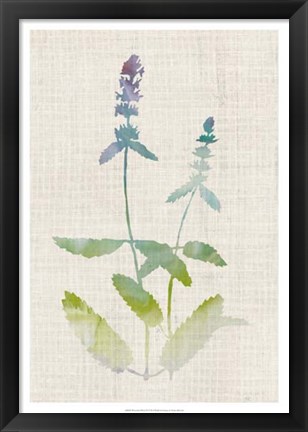 Framed Watercolor Plants IV Print