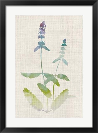 Framed Watercolor Plants IV Print