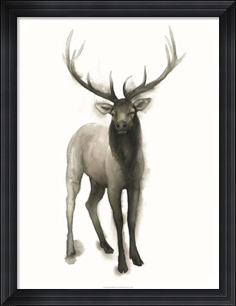 Framed Majestic Wildlife II Print