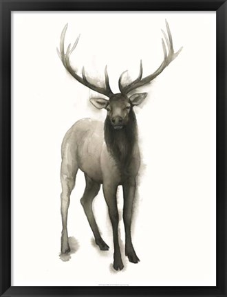 Framed Majestic Wildlife II Print