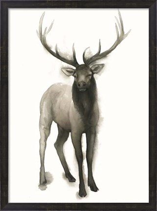 Framed Majestic Wildlife II Print