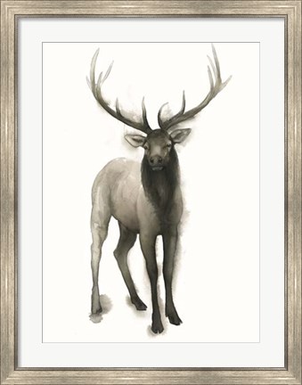 Framed Majestic Wildlife II Print