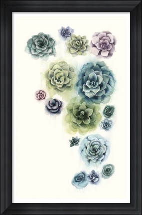 Framed Succulent Cluster I Print