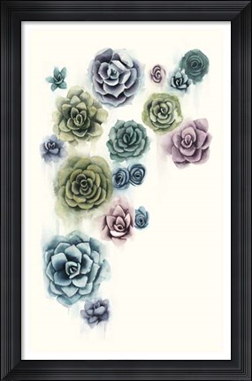 Framed Succulent Cluster II Print