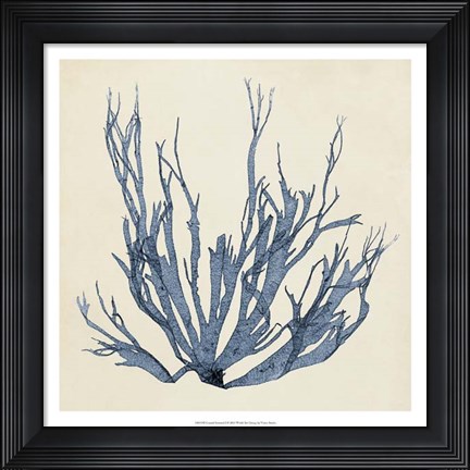 Framed Coastal Seaweed I Print