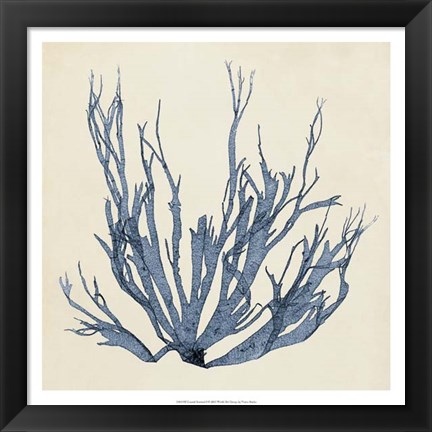 Framed Coastal Seaweed I Print