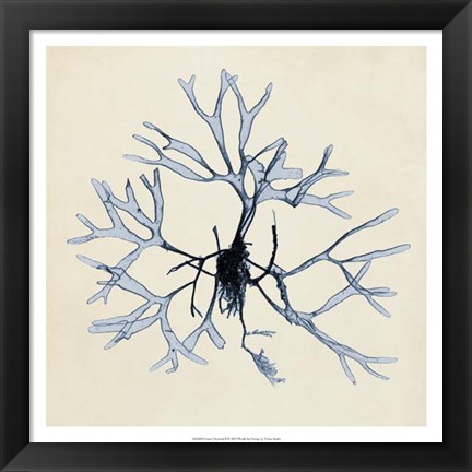 Framed Coastal Seaweed II Print