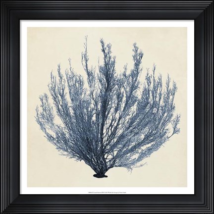 Framed Coastal Seaweed III Print
