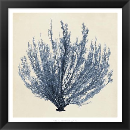 Framed Coastal Seaweed III Print