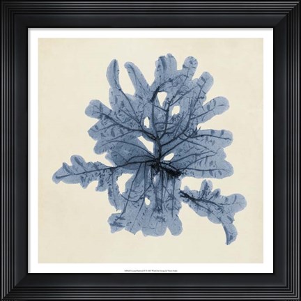 Framed Coastal Seaweed IV Print