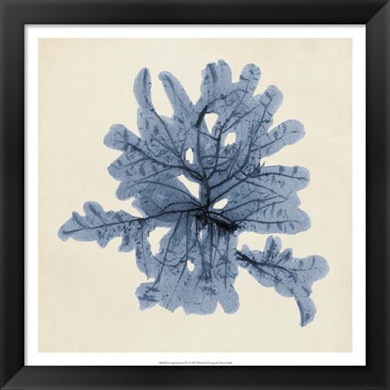 Framed Coastal Seaweed IV Print