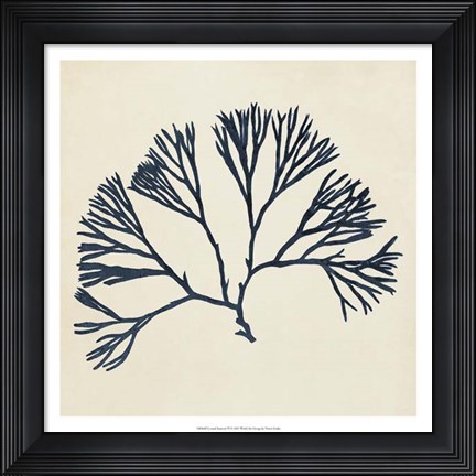 Framed Coastal Seaweed VI Print
