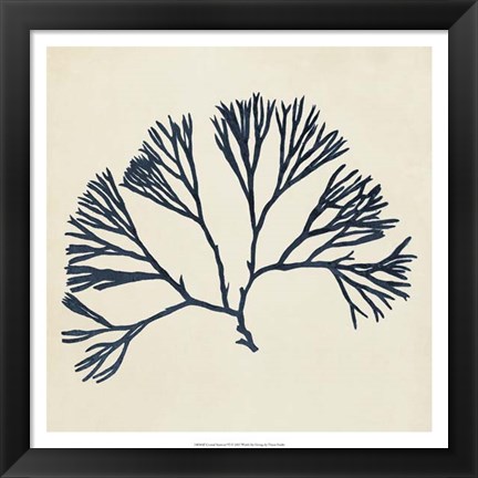 Framed Coastal Seaweed VI Print