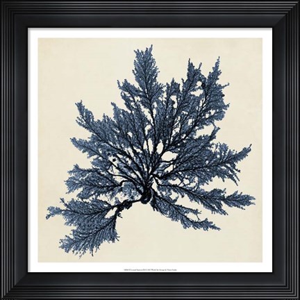 Framed Coastal Seaweed IX Print