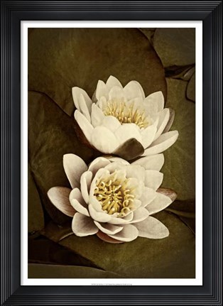 Framed Lily Pad Duo I Print