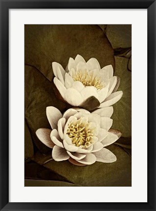 Framed Lily Pad Duo I Print