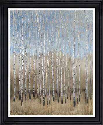 Framed Dusty Blue Birches I Print