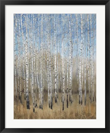 Framed Dusty Blue Birches II Print