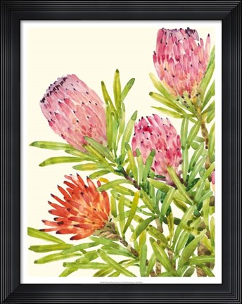 Framed Watercolor Tropical Flowers I Print