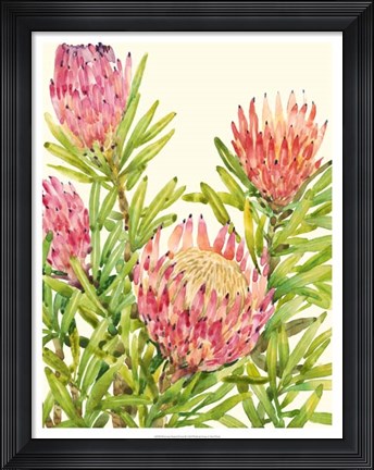 Framed Watercolor Tropical Flowers II Print