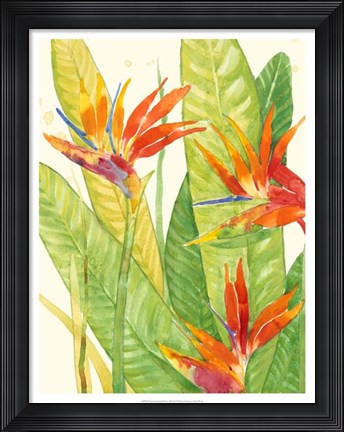 Framed Watercolor Tropical Flowers III Print