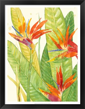 Framed Watercolor Tropical Flowers III Print