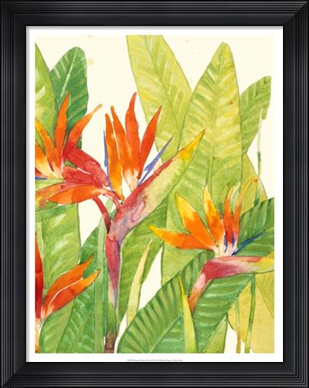 Framed Watercolor Tropical Flowers IV Print