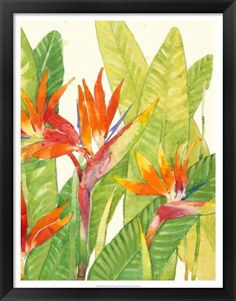 Framed Watercolor Tropical Flowers IV Print