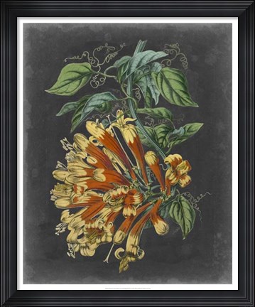 Framed Dramatic Tropical Beauty II Print