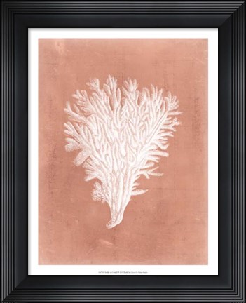 Framed Sealife on Coral II Print