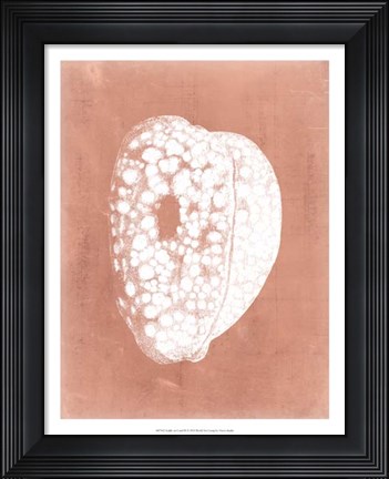Framed Sealife on Coral III Print