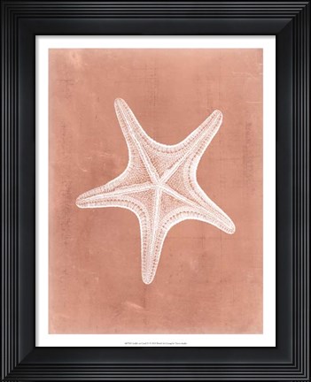 Framed Sealife on Coral IV Print