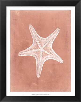 Framed Sealife on Coral IV Print