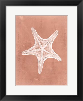 Framed Sealife on Coral IV Print