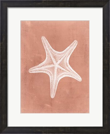 Framed Sealife on Coral IV Print