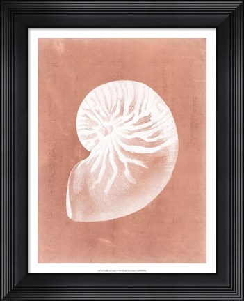 Framed Sealife on Coral V Print