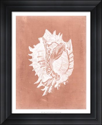 Framed Sealife on Coral VI Print