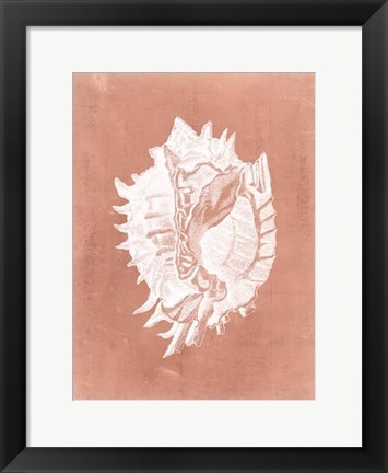 Framed Sealife on Coral VI Print