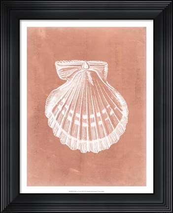 Framed Sealife on Coral VII Print