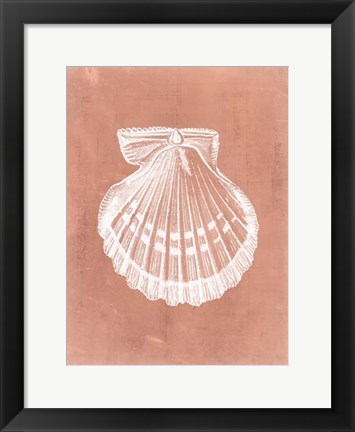 Framed Sealife on Coral VII Print