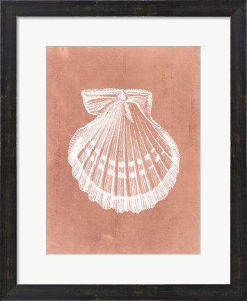 Framed Sealife on Coral VII Print