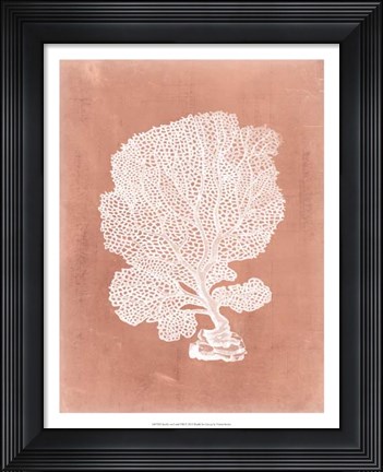 Framed Sealife on Coral VIII Print