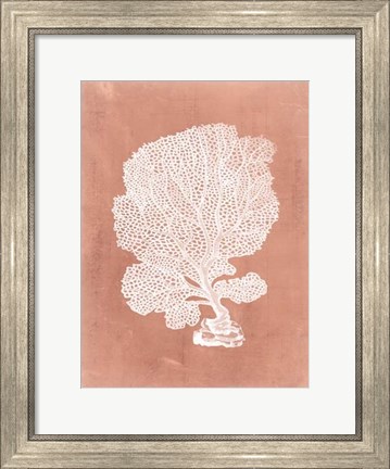 Framed Sealife on Coral VIII Print