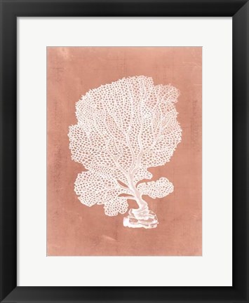 Framed Sealife on Coral VIII Print