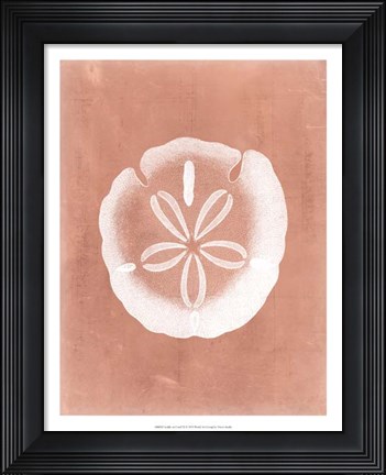 Framed Sealife on Coral IX Print