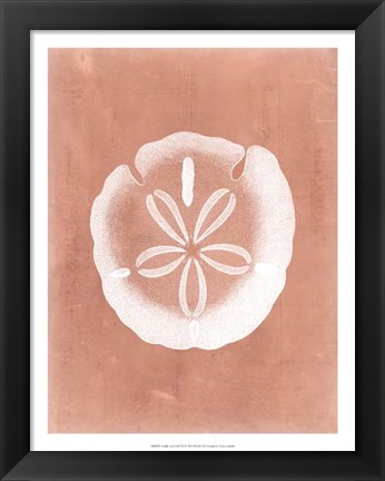 Framed Sealife on Coral IX Print