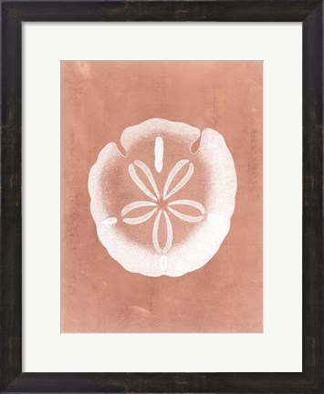 Framed Sealife on Coral IX Print